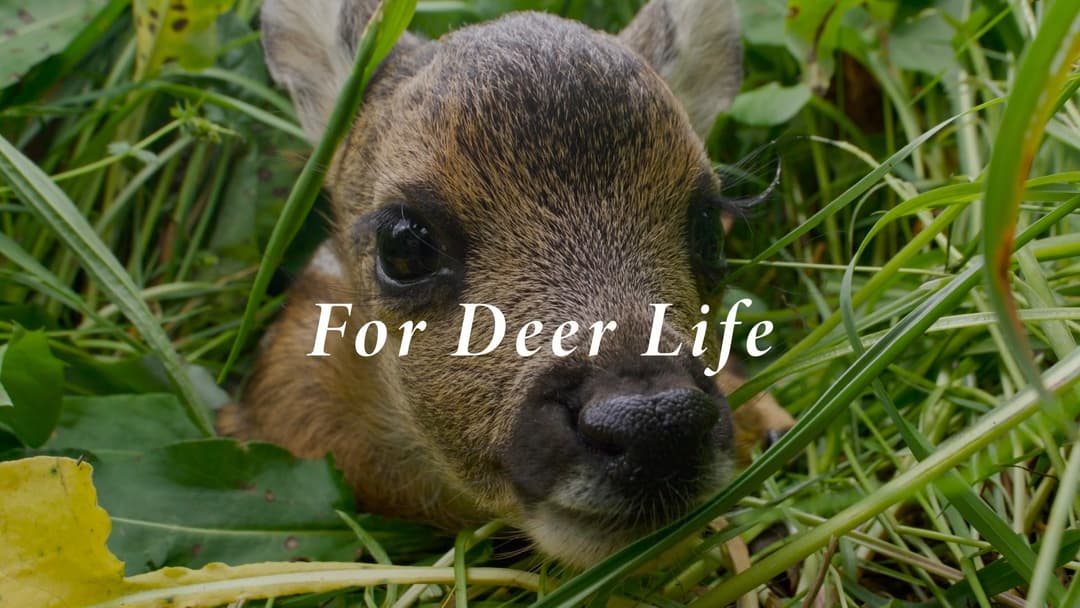 FOR DEER LIFE